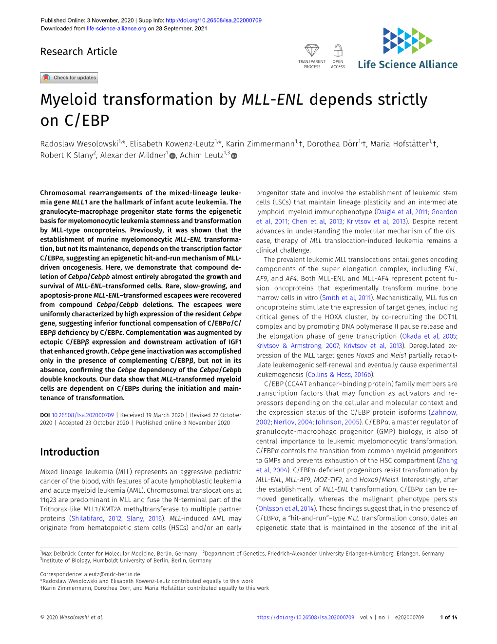 Myeloid Transformation by MLL-ENL Depends Strictly on C/EBP