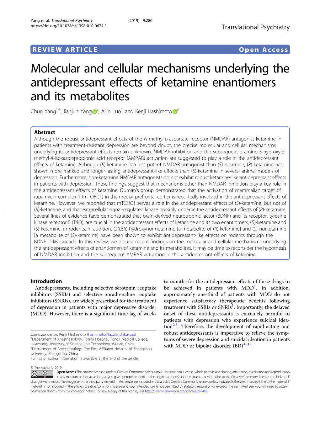 Molecular and Cellular Mechanisms Underlying the Antidepressant