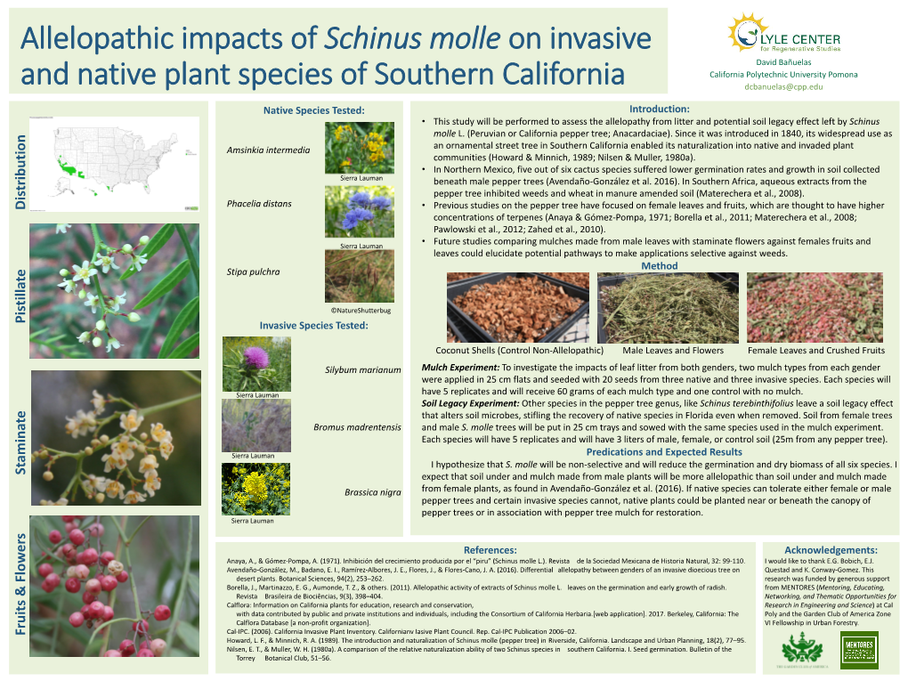 Schinus Molle on Invasive David Bañuelas California Polytechnic University Pomona and Native Plant Species of Southern California Dcbanuelas@Cpp.Edu