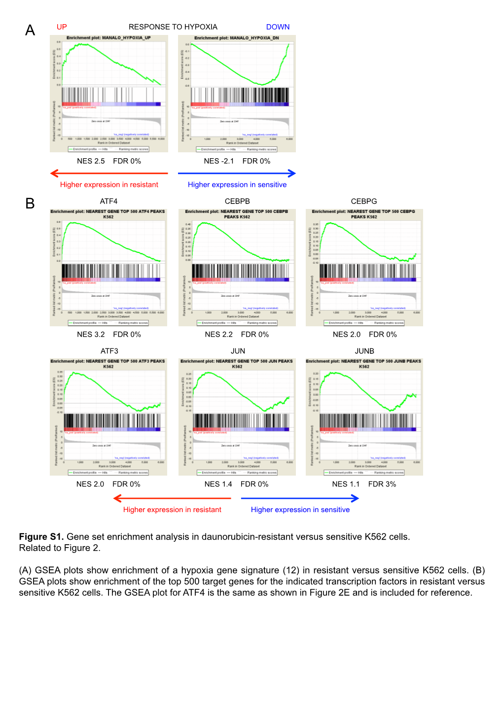 Figure S1. Gene Set Enrichment Analysis in Daunorubicin-Resistant Versus Sensitive K562 Cells