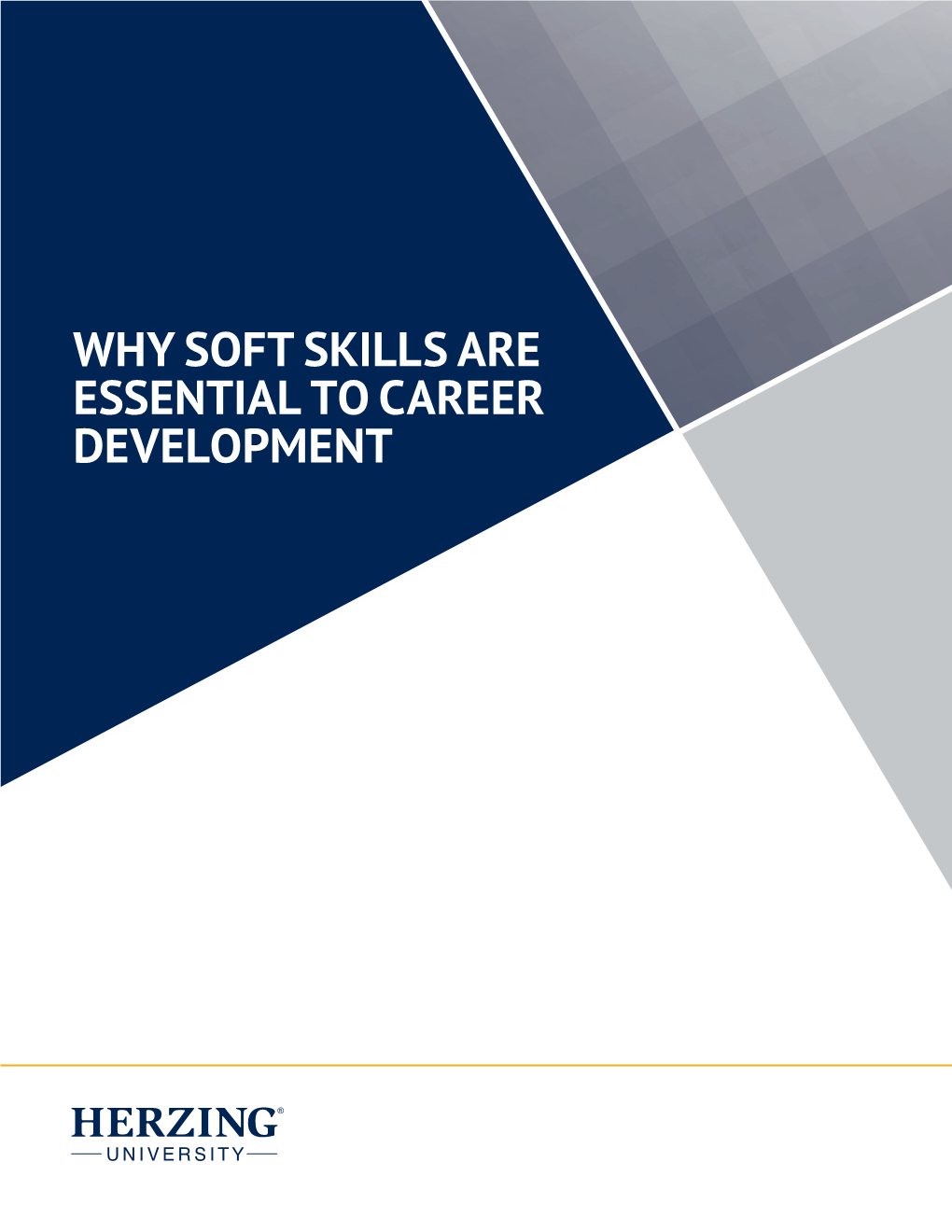 Why Soft Skills Are Essential to Career Development