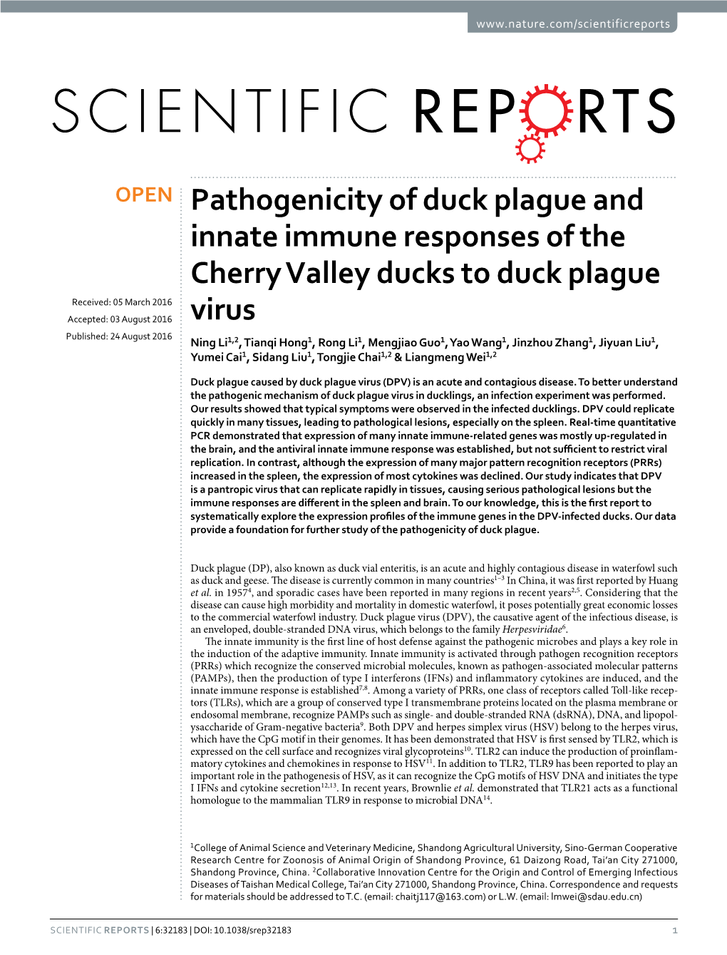 Pathogenicity of Duck Plague and Innate Immune Responses of The