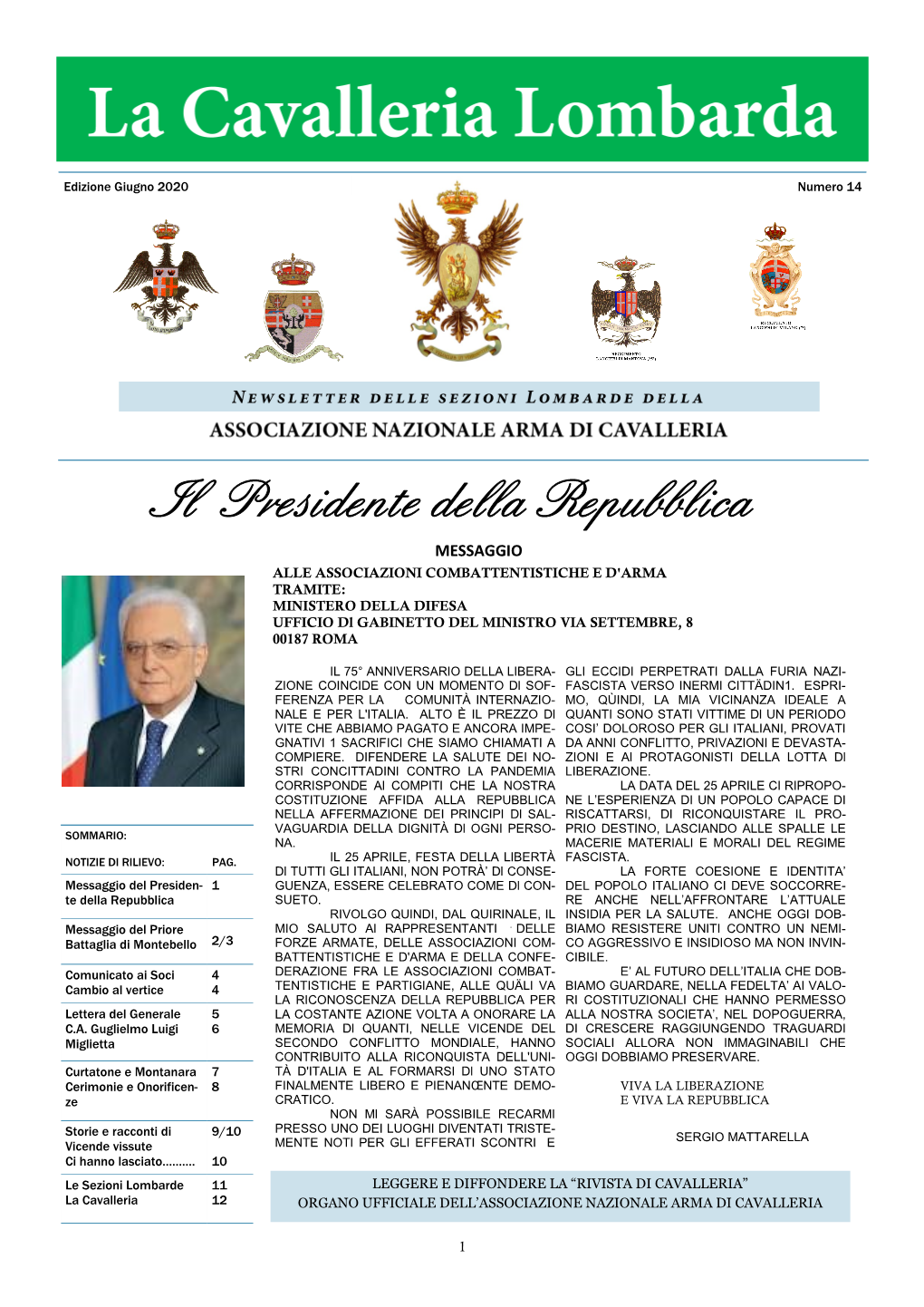 Il Presidente Della Repubblica