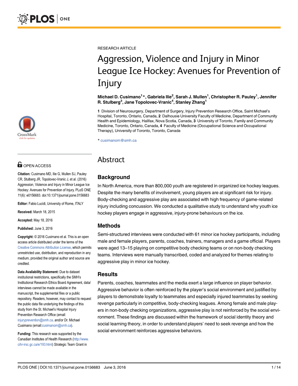 Aggression, Violence and Injury in Minor League Ice Hockey: Avenues for Prevention of Injury