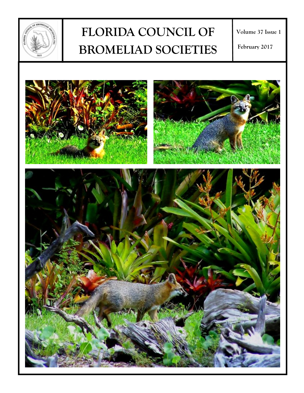 FLORIDA COUNCIL of BROMELIAD SOCIETIES Page 2