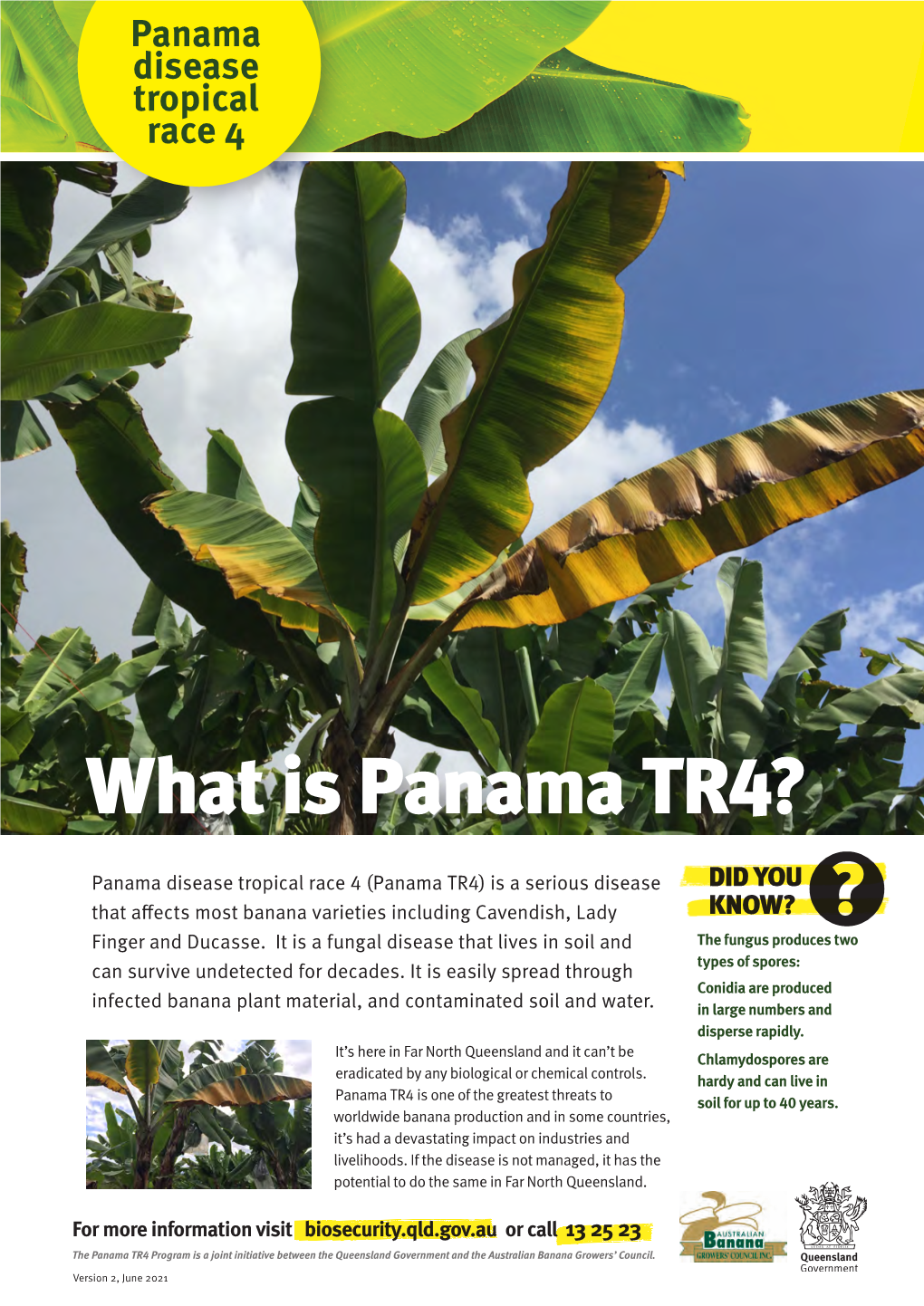 What Is Panama TR4?