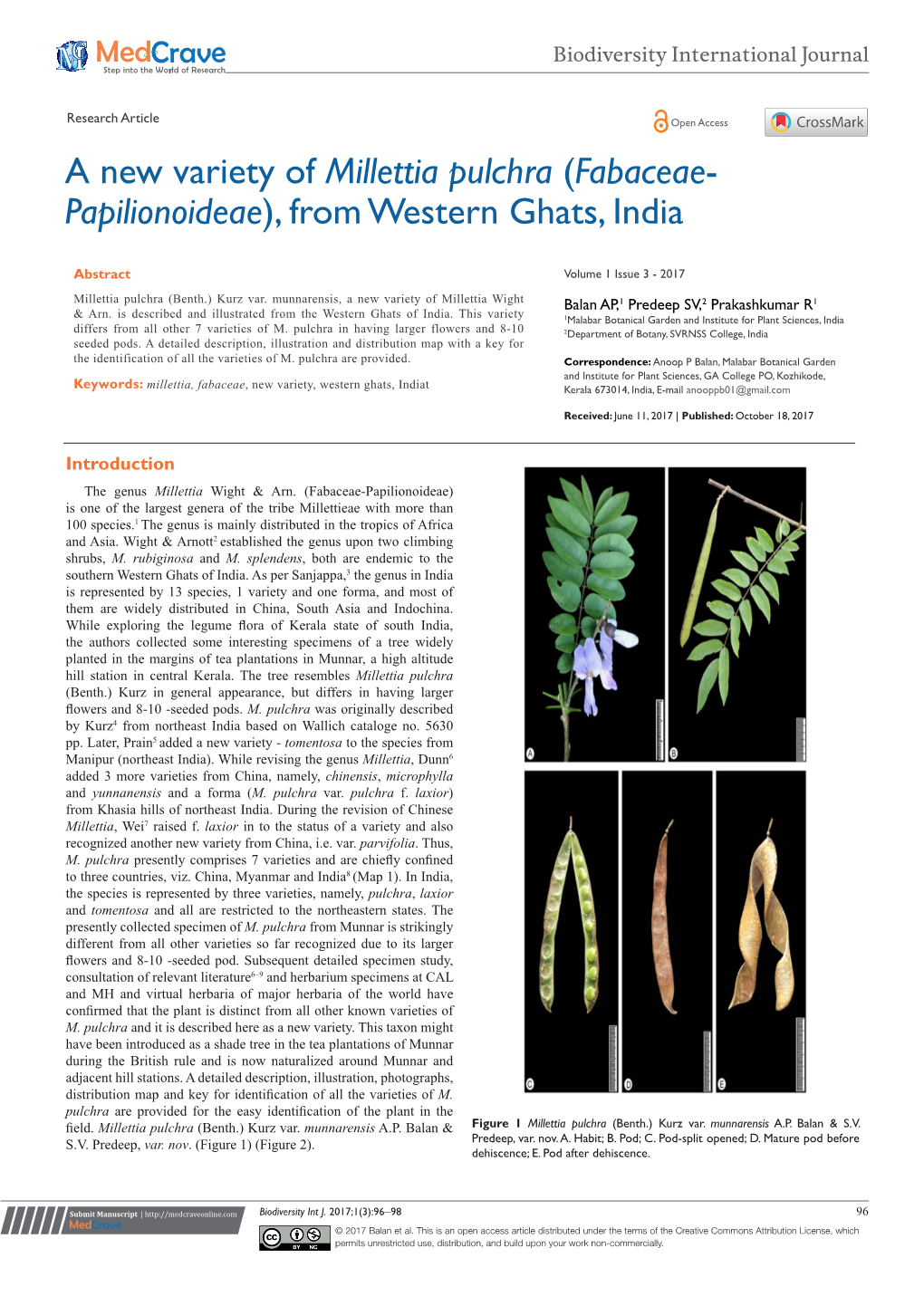 A New Variety of Millettia Pulchra (Fabaceae-Papilionoideae), from Western Ghats, India ©2017 Balan Et Al