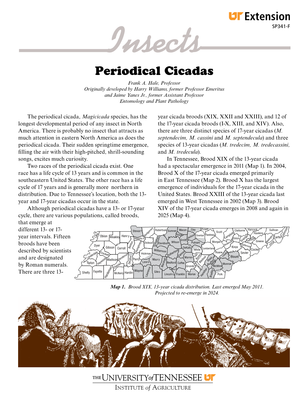 Periodical Cicadas Frank A