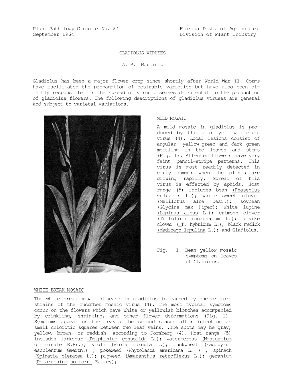 Plant Pathology Circular No. 27 Florida Dept. of Agriculture September 1964 Division of Plant Industry GLADIOLUS VIRUSES A. P