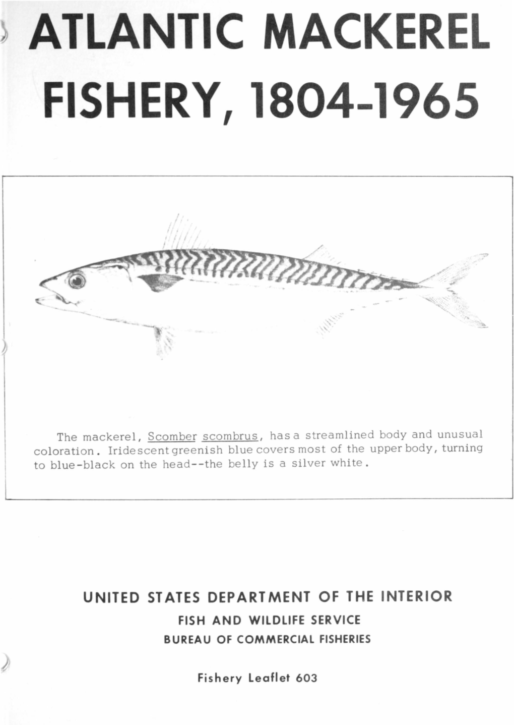 Atlantic Mackerel Fishery, 1804-1965