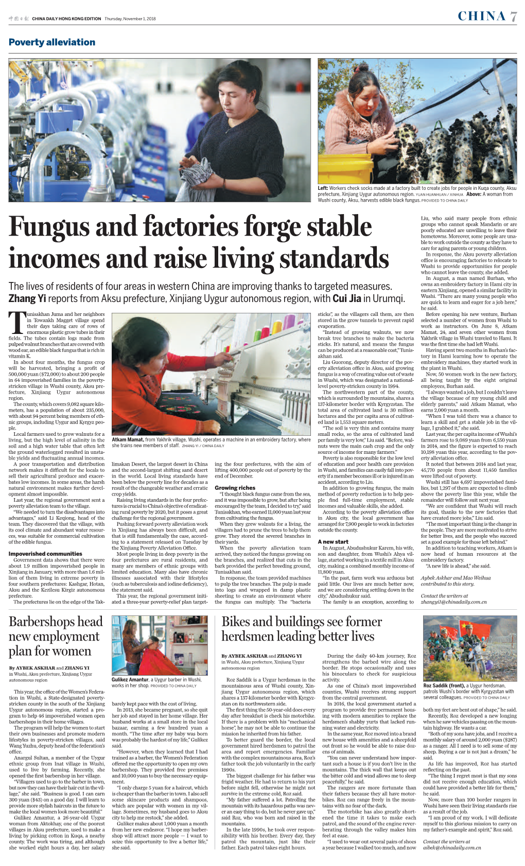 Fungus and Factories Forge Stable Incomes and Raise