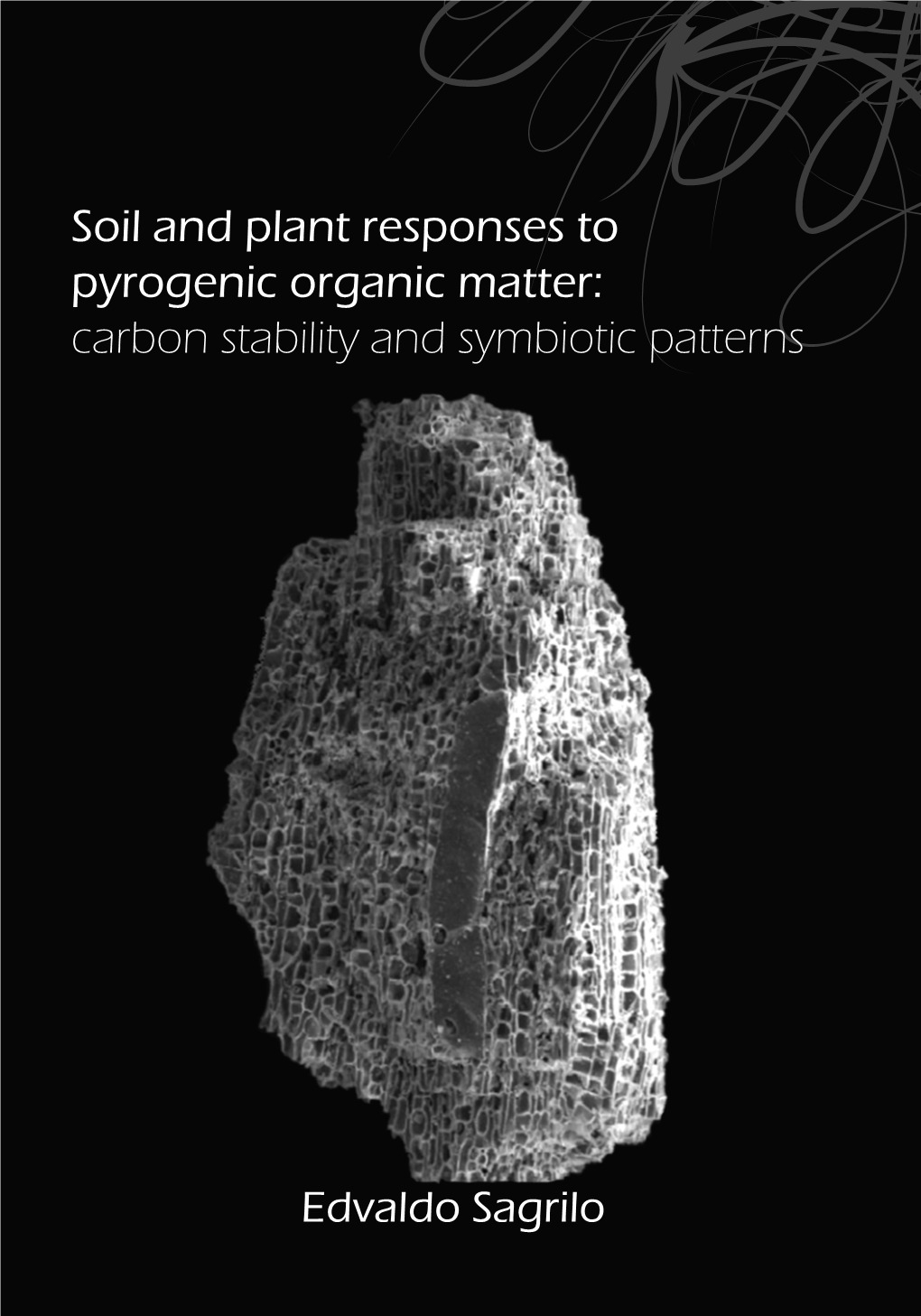 Soil and Plant Responses to Pyrogenic Organic Matter: Carbon Stability and Symbiotic Patterns