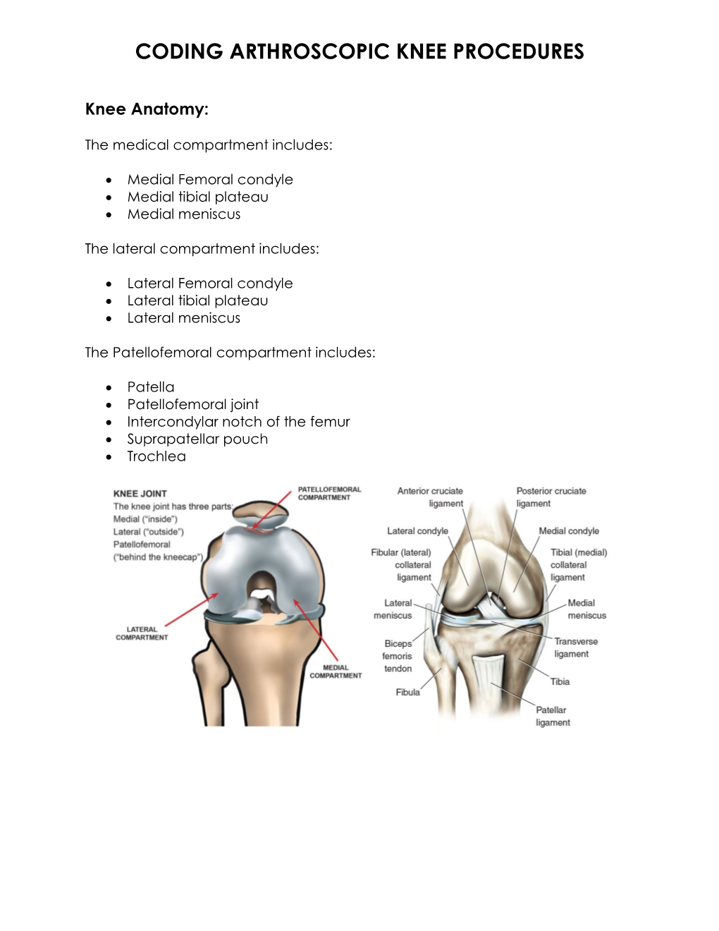 Coding Arthroscopic Knee Procedures