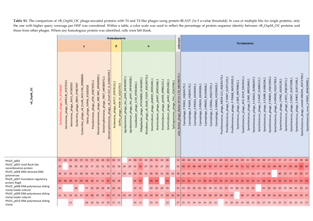 Table S1. the Comparison of Vb Ospm OC Phage-Encoded Proteins with T4 and T4-Like Phages Using Protein BLAST (1E-5 E-Value Threshold)