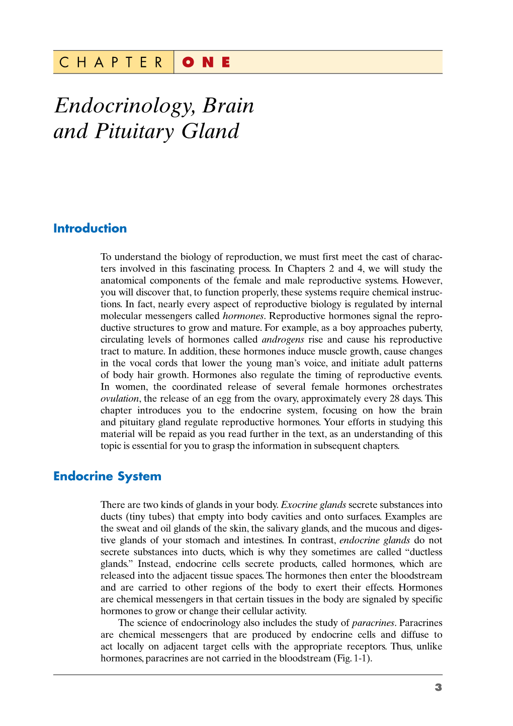 Endocrinology, Brain and Pituitary Gland