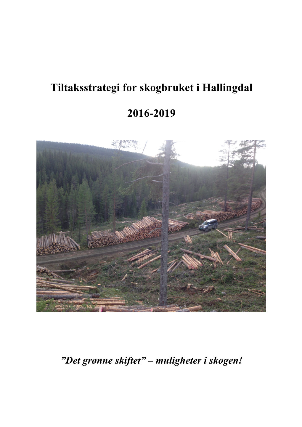 Tiltaksstrategi for Skogbruket I Hallingdal