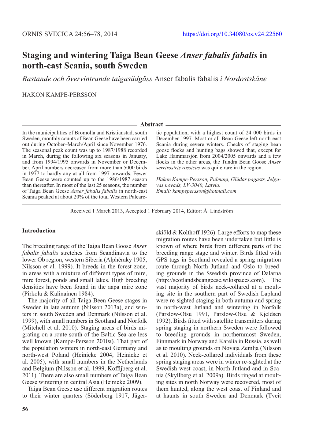 Staging and Wintering Taiga Bean Geese Anser Fabalis Fabalis in North