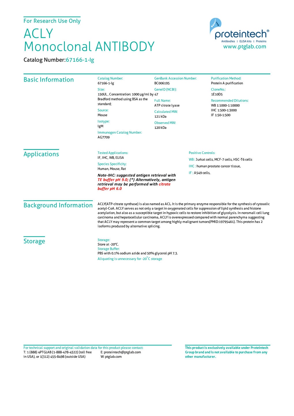 ACLY Monoclonal ANTIBODY Catalog Number:67166-1-Ig