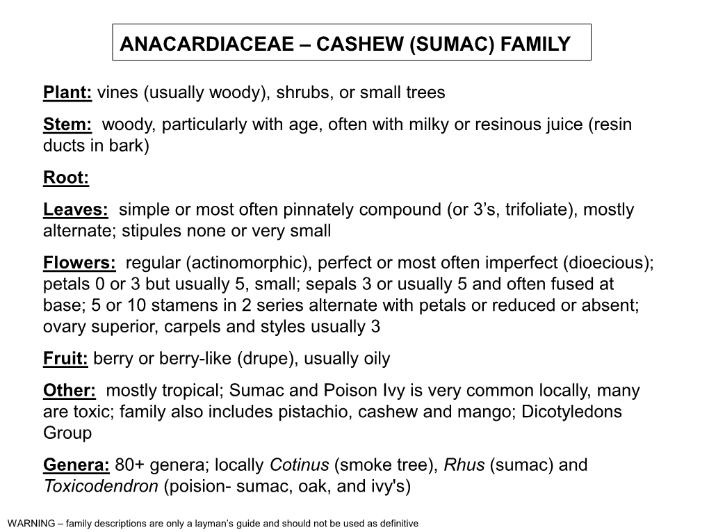 Anacardiaceae – Cashew (Sumac) Family