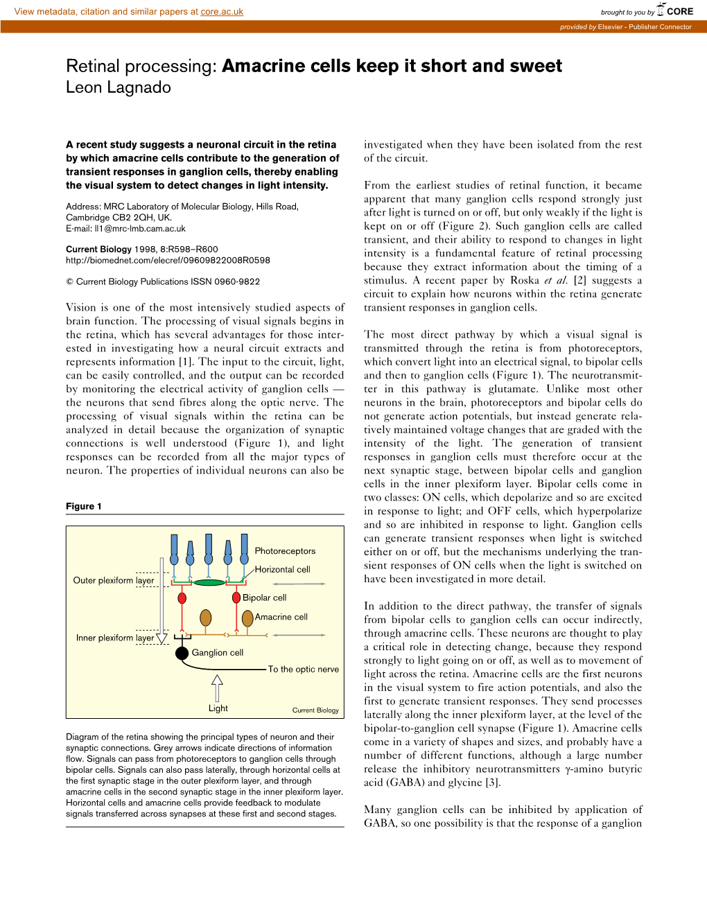 Retinal Processing: Amacrine Cells Keep It Short and Sweet Leon Lagnado