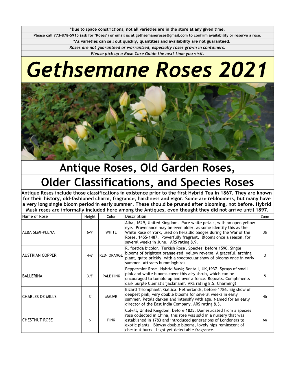Gethsemane Roses 2021