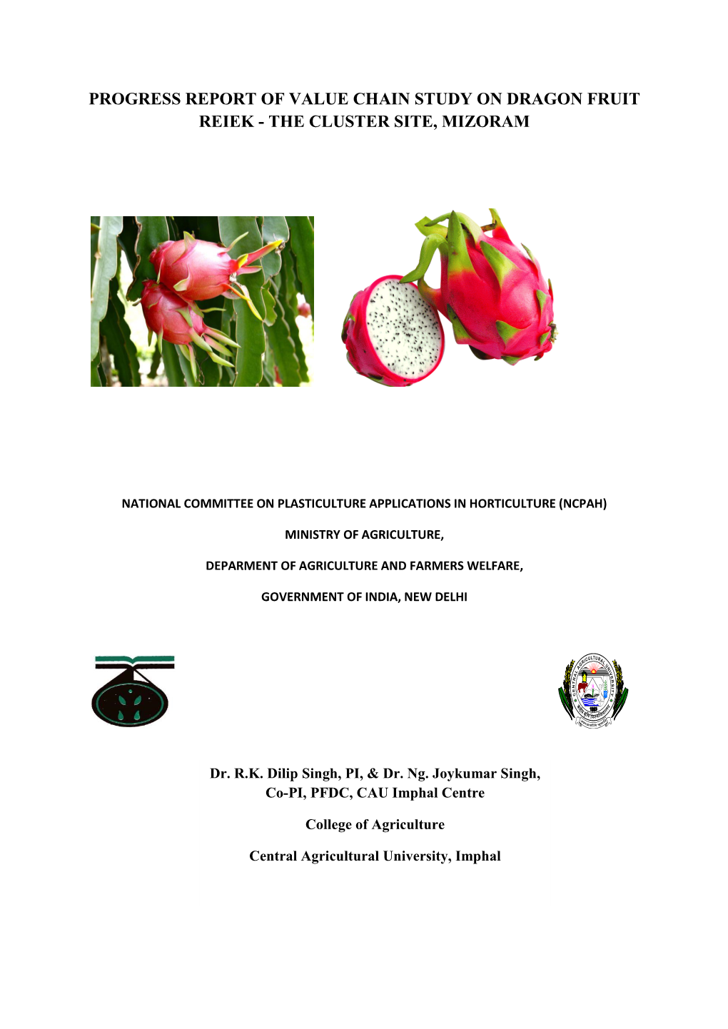 Progress Report of Value Chain Study on Dragon Fruit Reiek - the Cluster Site, Mizoram