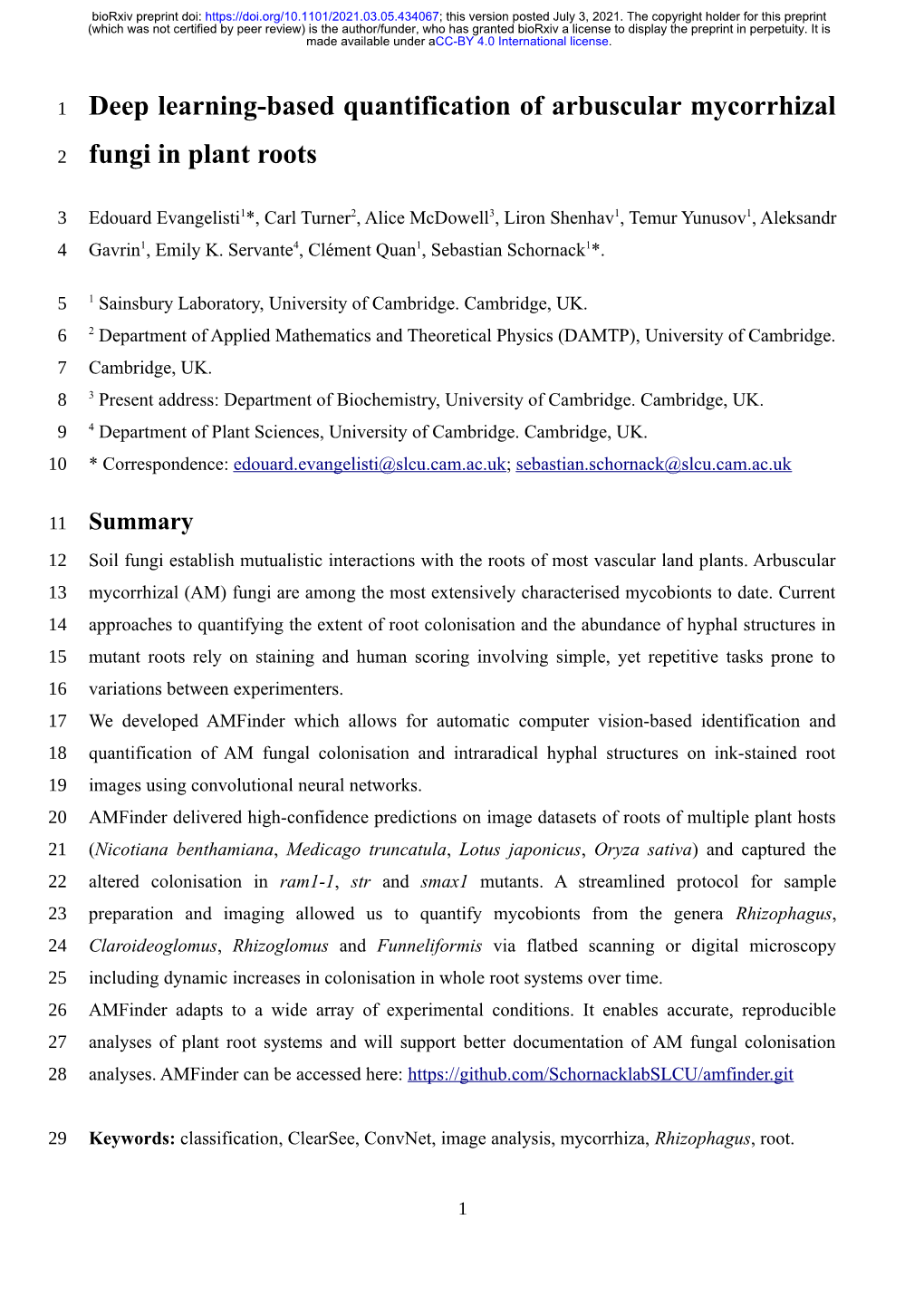 Deep Learning-Based Quantification of Arbuscular Mycorrhizal Fungi In