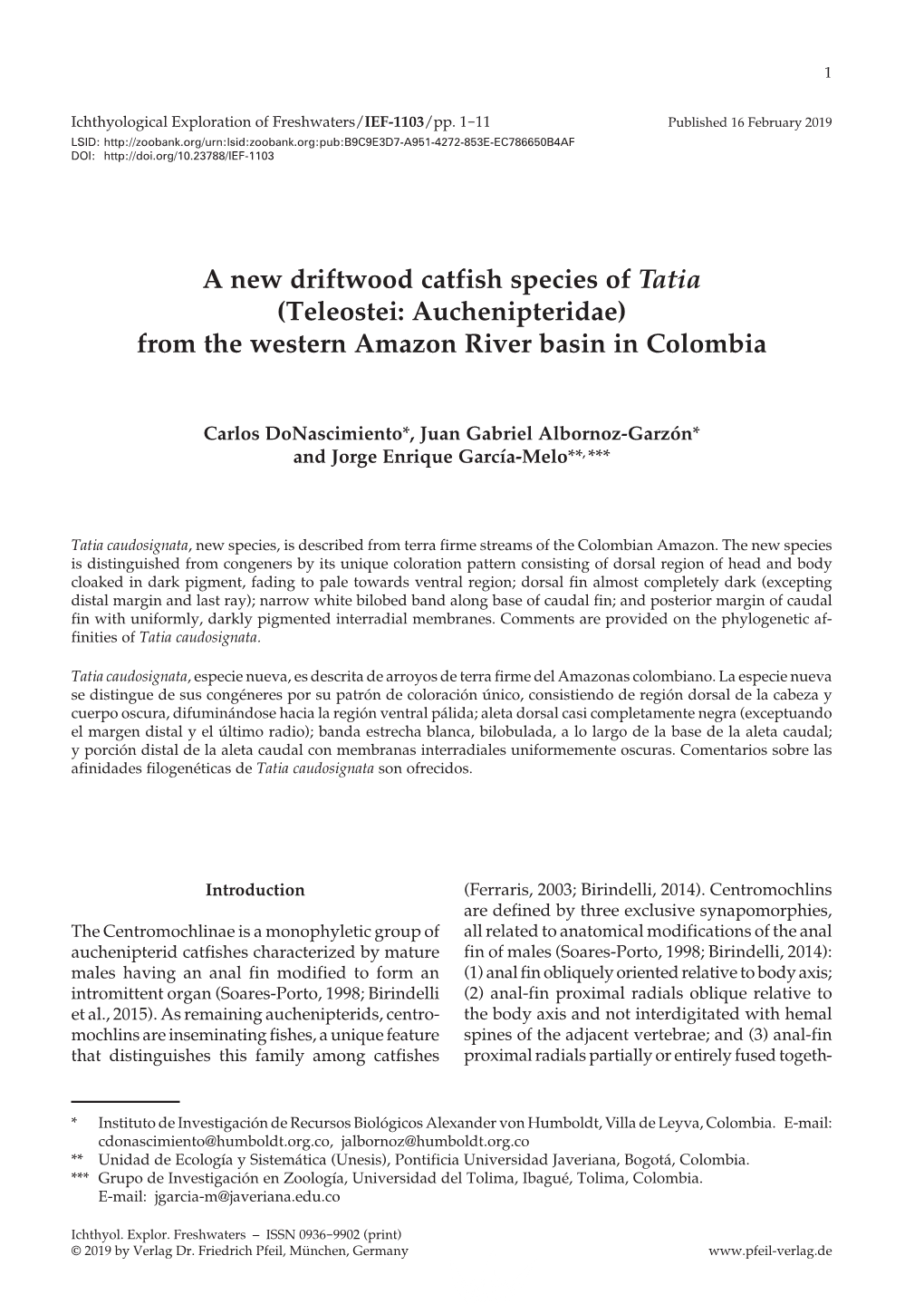 A New Driftwood Catfish Species of Tatia (Teleostei: Auchenipteridae) from the Western Amazon River Basin in Colombia