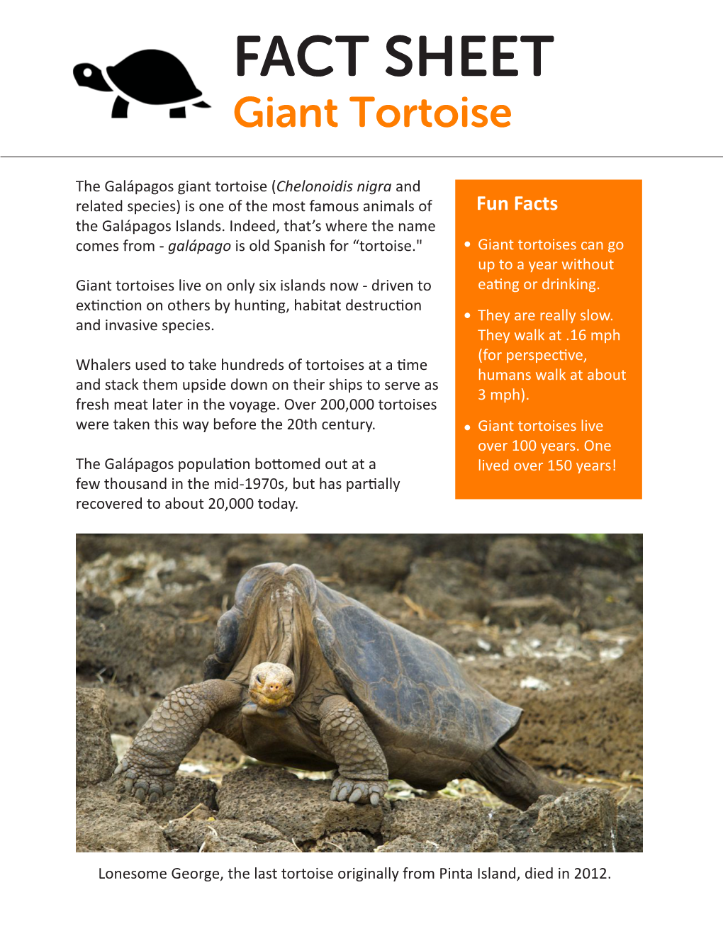 FACT SHEET Giant Tortoise