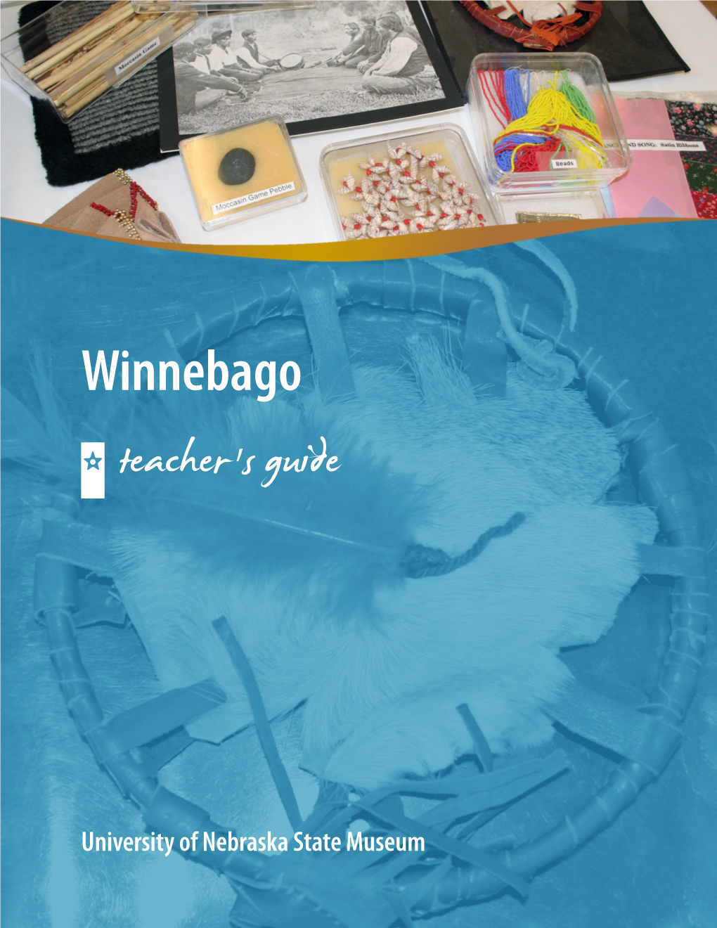 Download Teacher's Guide