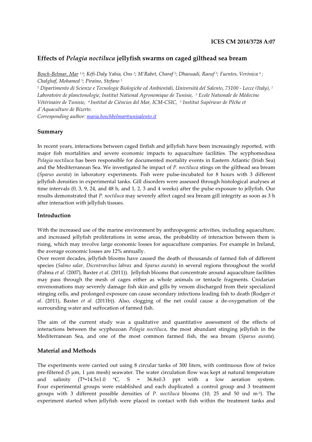 Effects of Pelagia Noctiluca Jellyfish Swarms on Caged Gilthead Sea Bream