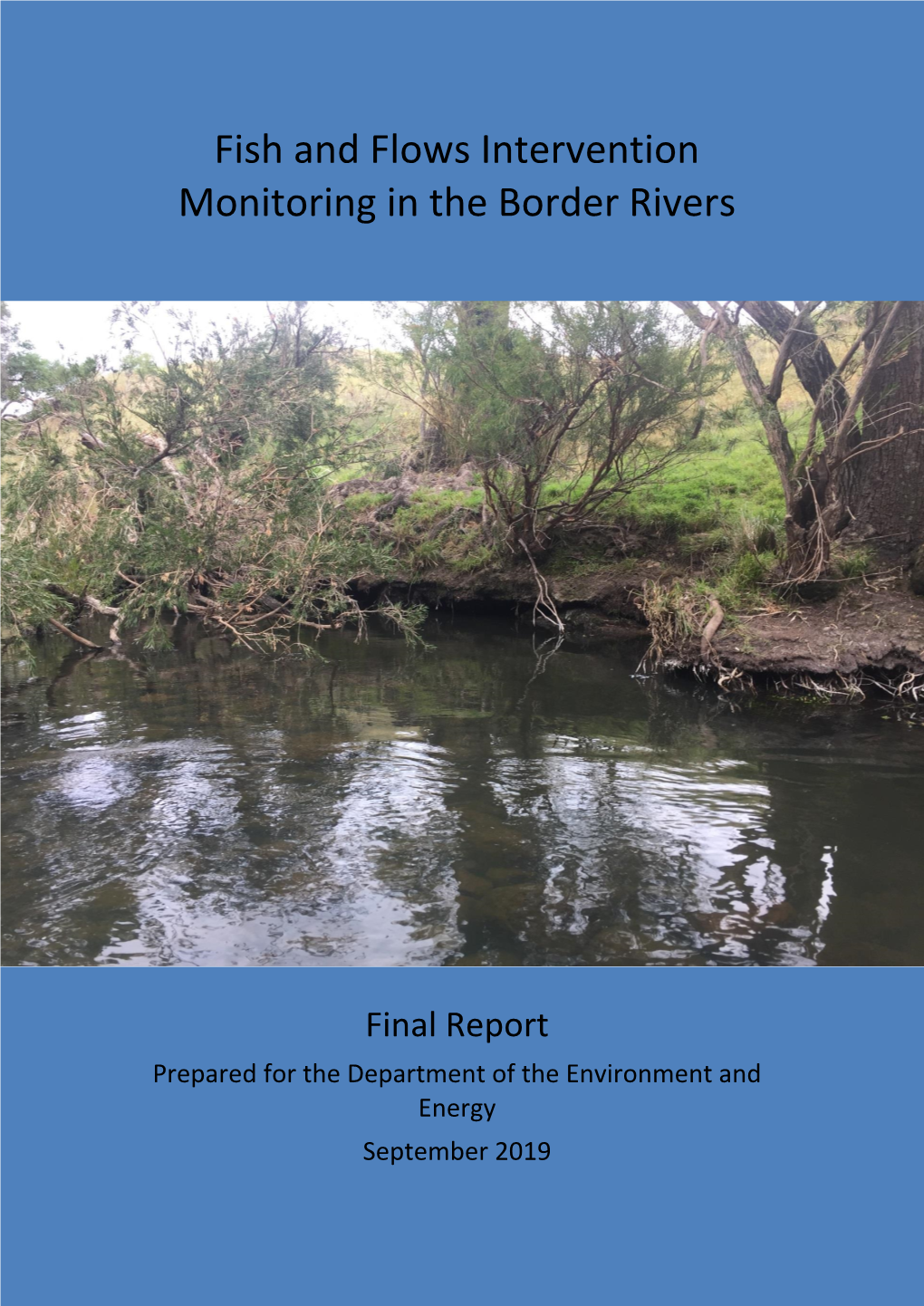 Fish and Flows Intervention Monitoring in the Border Rivers