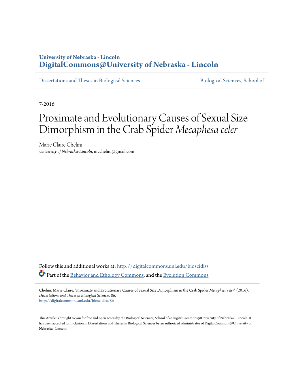 Proximate and Evolutionary Causes of Sexual Size Dimorphism in the Crab Spider