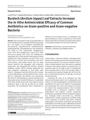 Burdock (Arctium Lappa) Leaf Extracts Increase the in Vitro Antimicrobial Efficacy of Common Antibiotics on Gram-Positive and Gram-Negative Bacteria
