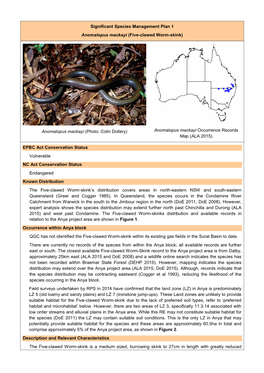 Significant Species Management Plan 1 Anomalopus Mackayi (Five-Clawed Worm-Skink)