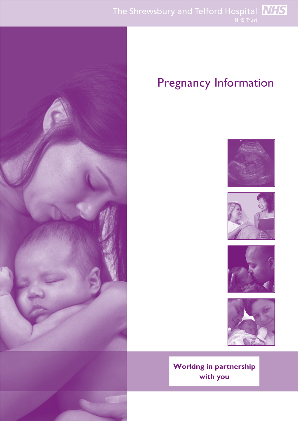 Pregnancy-Information.Pdf