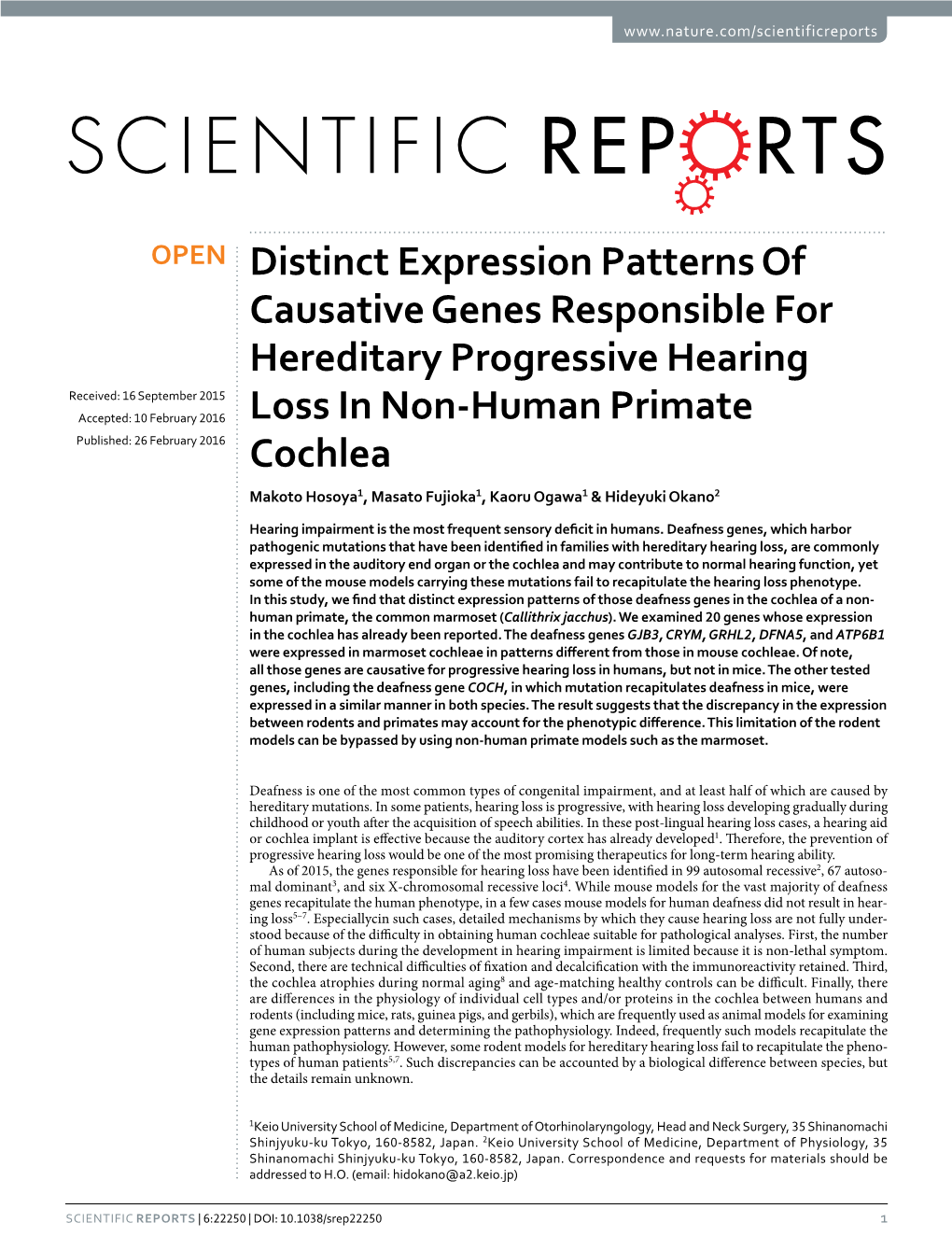 Distinct Expression Patterns of Causative Genes Responsible For