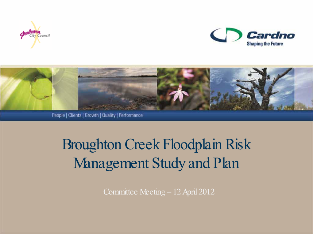 Broughton Creek Floodplain Risk Management Study and Plan