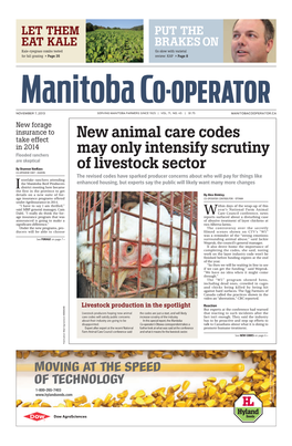 New Animal Care Codes May Only Intensify Scrutiny of Livestock Sector