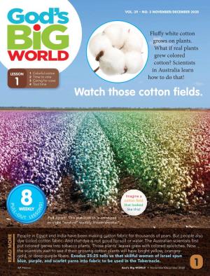 1 1 Watch Those Cotton Fields