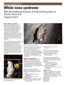 White-Nose Syndrome the Devastating Disease of Hibernating Bats in North America August 2012