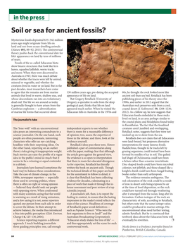 Soil Or Sea for Ancient Fossils?