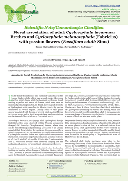 Floral Association of Adult Cyclocephala Tucumana Brethes and Cyclocephala Melanocephala (Fabricius) with Passion Flowers Passiflora( Edulis Sims)