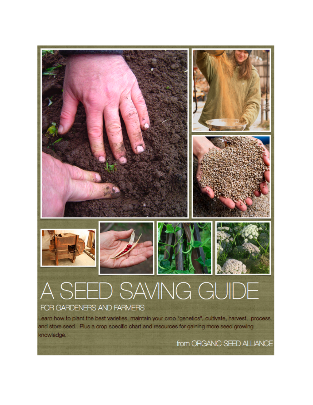 Seed Saving Guide