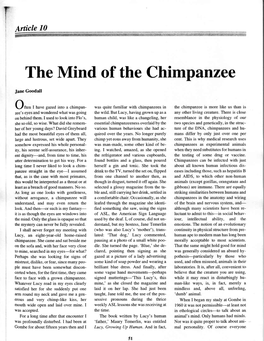 The Mind of the Chimpanr,Ee