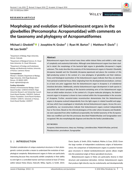 Morphology and Evolution of Bioluminescent Organs in the Glowbellies (Percomorpha: Acropomatidae) with Comments on the Taxonomy and Phylogeny of Acropomatiformes