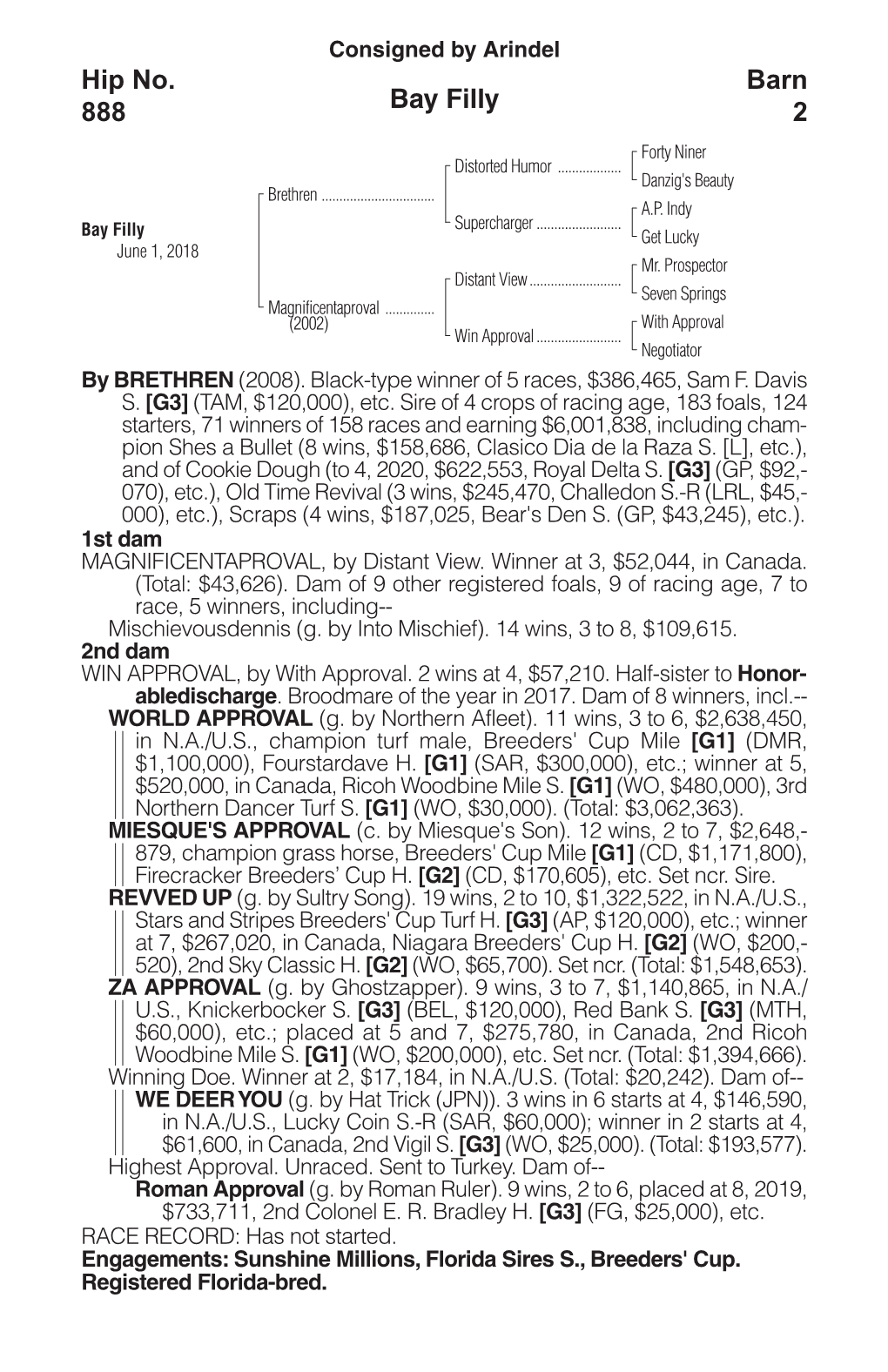 Bay Filly Barn 2 Hip No