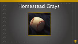 Homestead Grays