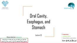 Oral Cavity, Esophagus, and Stomach