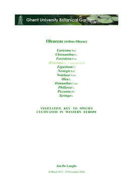 Oleaceae (Tribus Oleeae) Cartrema Raf. Chionanthus L. Forestiera Poir